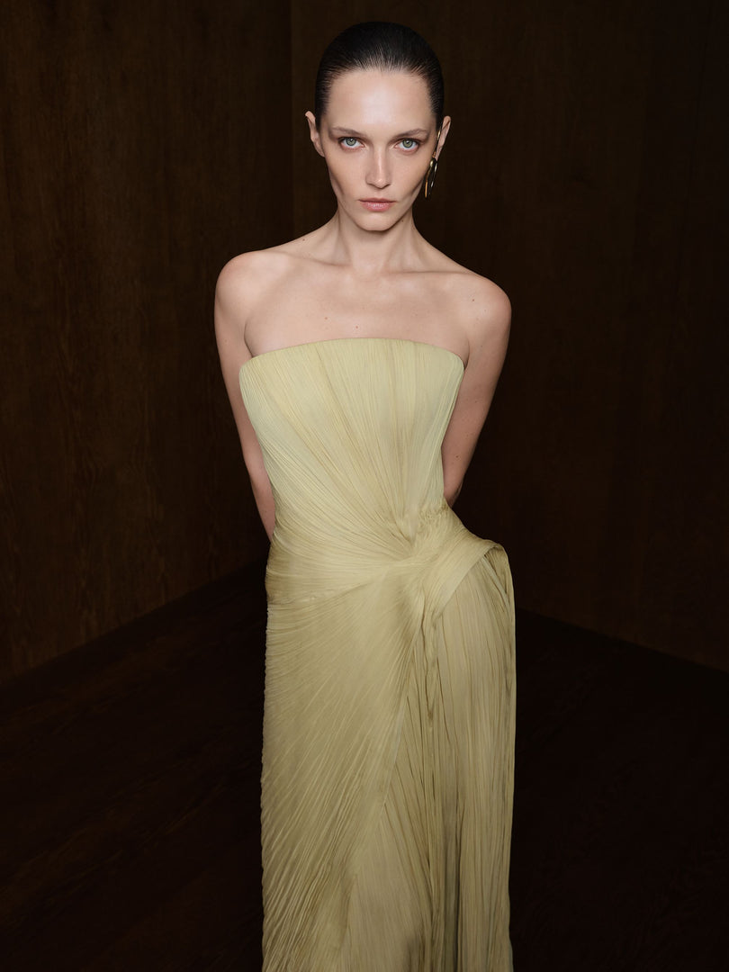 Strapless Pleated Silk Georgette Dress