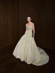 Strapless Taffeta Dress