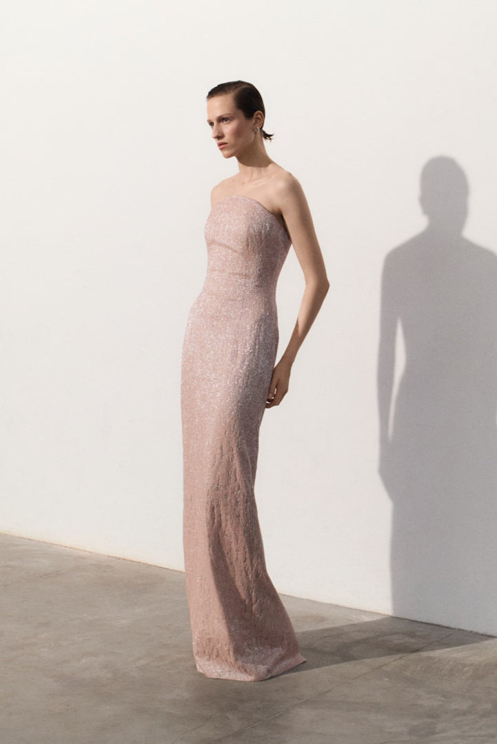 Strapless Embroidered Dress