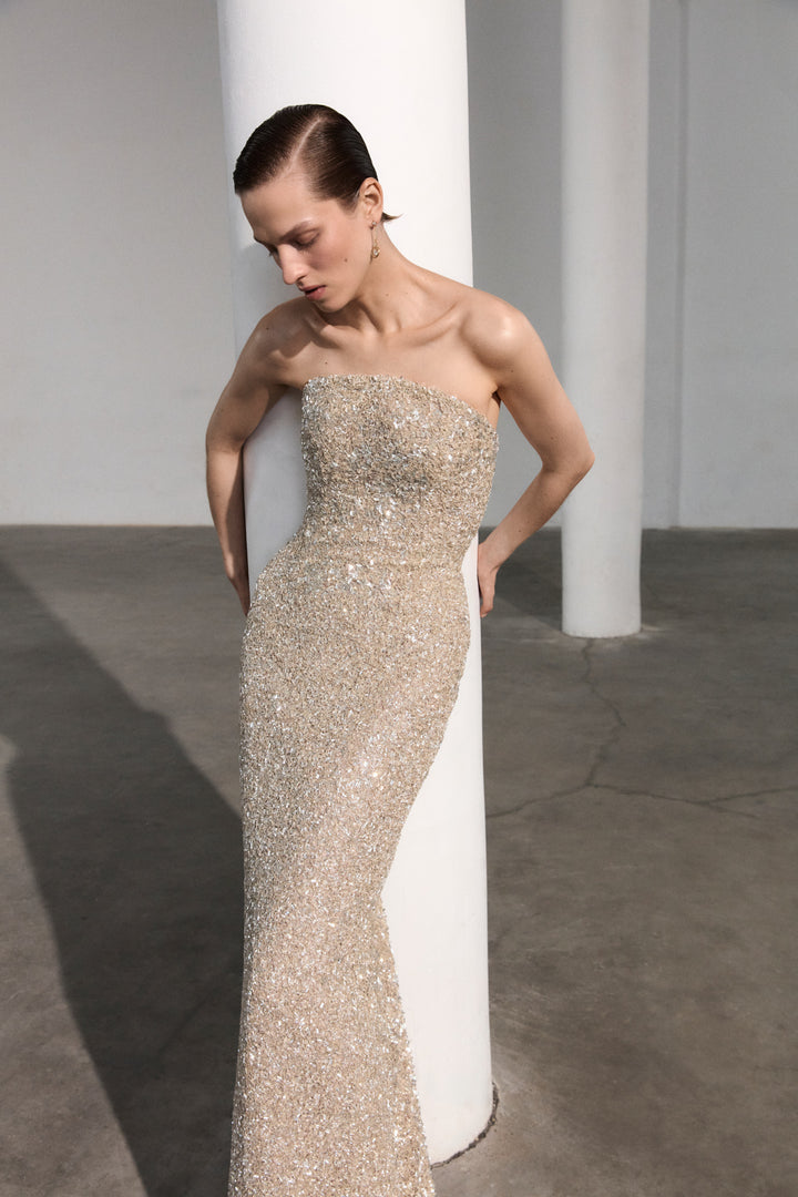 Strapless Embroidered Dress