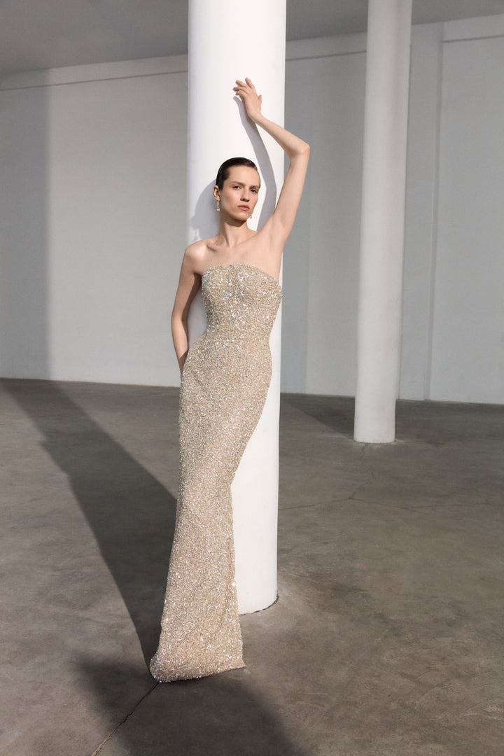 Strapless Embroidered Dress